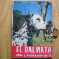 El Dalmata, Cria Y Adiestramiento, Hector Tocagni, Ediciones segunda mano  Chile 