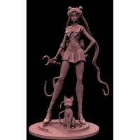 Archivo Stl Impresión 3d - Sailor Moon And Luna segunda mano  Chile 