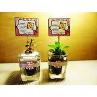 Regalos Baby Shower Cactus Suculentas+vaso Cristal+ecografía segunda mano  Chile 