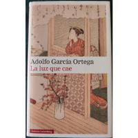 La Luz Que Cae. Adolfo García Ortega., usado segunda mano  Chile 