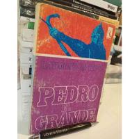 Pedro El Grande Raymond Cartier Ed. Rodas 281 Páginas segunda mano  Chile 