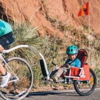 Silla Niño Para Bicicleta. Marca Weehoo Directo De Usa segunda mano  Chile 