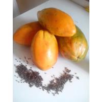 Semillas De Papaya Tropical 15 Unidades Seleccionadas  segunda mano  Chile 
