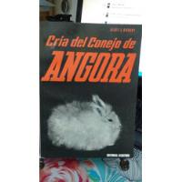 Cria Del Conejo Angora  // Gisbert, usado segunda mano  Chile 