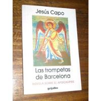 Las Trompetas De Barcelona (novela Sobre El Apocalipsis) segunda mano  Chile 