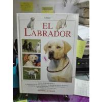 El Labrador // Valeria Rossi, usado segunda mano  Chile 
