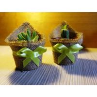 Cactus Decorados Con Ecografía Para Regalos Baby Shower, usado segunda mano  Chile 