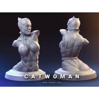 Archivo Stl Impresión 3d - Catwoman Busto segunda mano  Puerto Montt