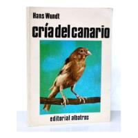 Cría Del Canario Hans Wundt / Cmm Albatros segunda mano  Chile 