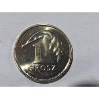Moneda Polonia 1 Grosz 2019(x1249 segunda mano  Chile 