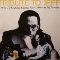 David Garfield And Friends Tribute To Jeff Cd Jap Obi Usado segunda mano  Providencia