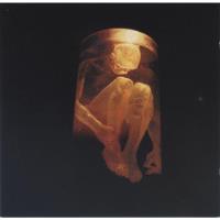 Alice In Chains  Nothing Safe: The Best Of The Box  Cd  segunda mano  Pudahuel