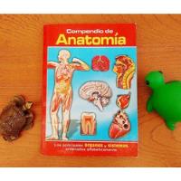 Compendio De Anatomía. Los Principales Órganos Y Sistemas, usado segunda mano  Providencia