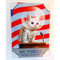 Mr Pebbles 2018 Fallout Bethesda First Cat In Space segunda mano  Chile 