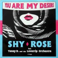 Vinilo - Shy Rose - You Are My Desire - 12  Single segunda mano  Chile 