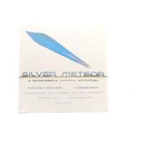 Vinilo Silver Meteor  A Progressive Country Anthology  1980, usado segunda mano  Talca