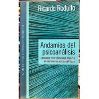 Andamios Del Psicoanálisis - Ricardo Rodulfo segunda mano  Chile 