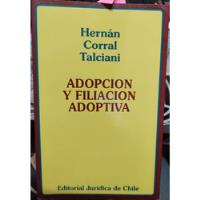 Adopción Y Filiación Adoptiva / Hernán Corral Talciani segunda mano  Chile 
