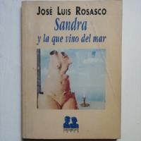 Sandra Y La Que Vino Del Mar/ Jose Luis Rosasco/ Novela segunda mano  Chile 