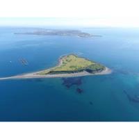 Venta Exclusiva Isla Perteneciente Al Archipiélago De Chiloé, usado segunda mano  Chile 