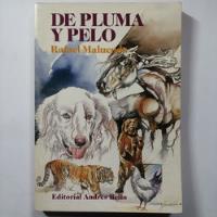 De Pluma Y Pelo/ Rafael Maluenda/ Literatura Chilena/ Cuento segunda mano  Chile 