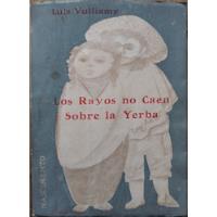 Los Rayos No Caen Sobre La Yerba - Luis Vulliamy segunda mano  Chile 
