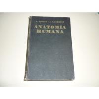 Libro Tratado De Anatomía Humana. Tomo Iv. 1964. Usado segunda mano  Chile 