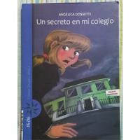 Usado, Un Secreto En Mi Colegio- Angelica Dossetti segunda mano  Chile 