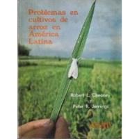 Problemas En Cultivos De Arroz En América Latina / Cheaney Y, usado segunda mano  Chile 