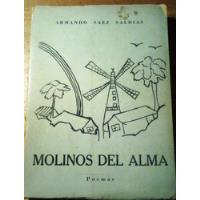 Molinos Del Alma. Poemas. segunda mano  Chile 