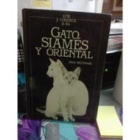 Gato , Siames Y Oriental // Maia Beltrame  segunda mano  Chile 