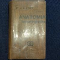 Anatomia Descriptiva, Dr J. A. Fort, Ed. Gustavo Gili segunda mano  La Florida