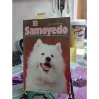 El Samoyedo // Joyce Reynaud segunda mano  Providencia